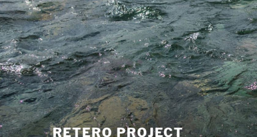 RETERO- Reduktion von Tierversuchen zum Schädigungsrisiko bei Turbinenpassagen durch Einsatz von Roboterfischen, Strömungssimulationen und Vorhersagemodellen